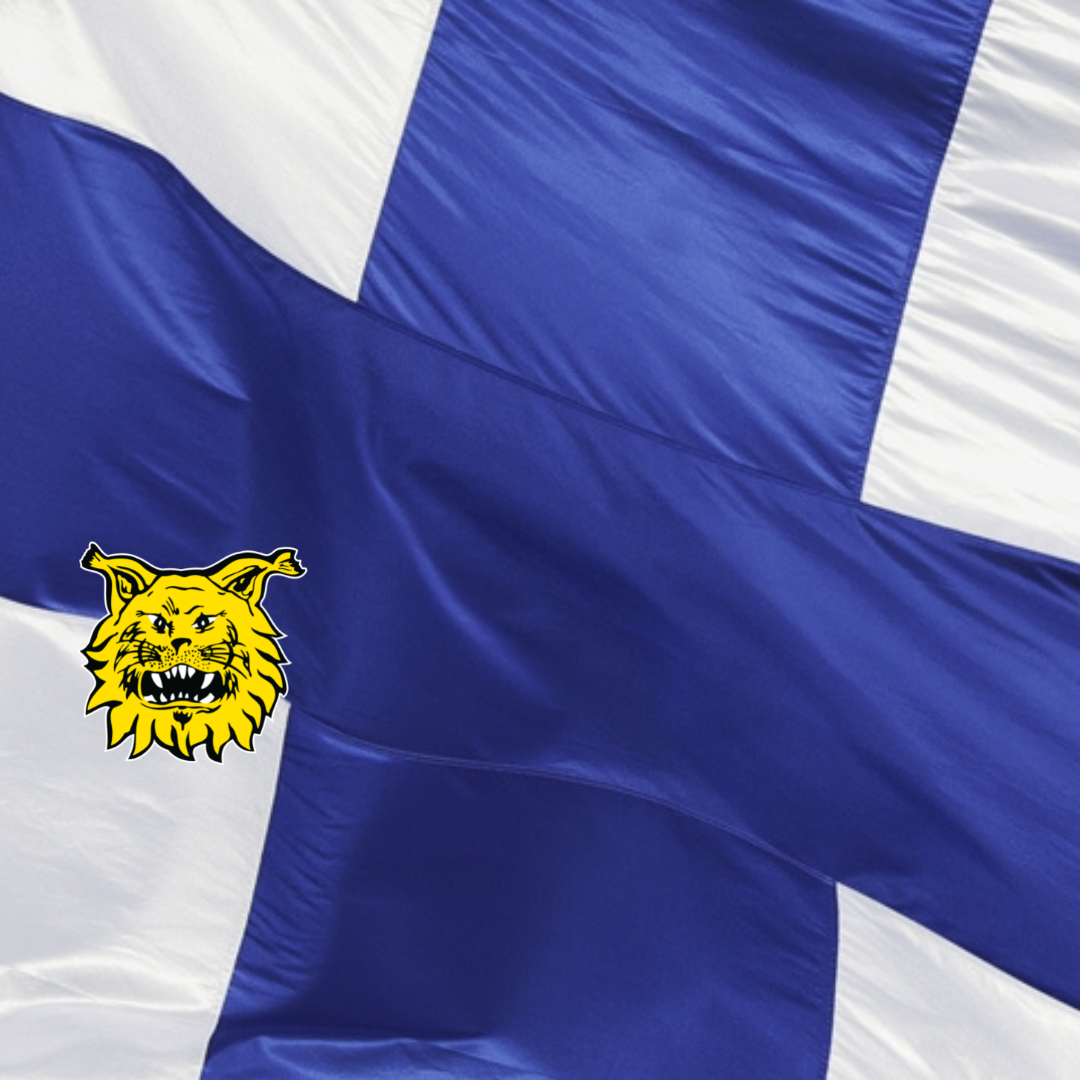 Itsenaisyyspaivan kuva kotisivuille 2