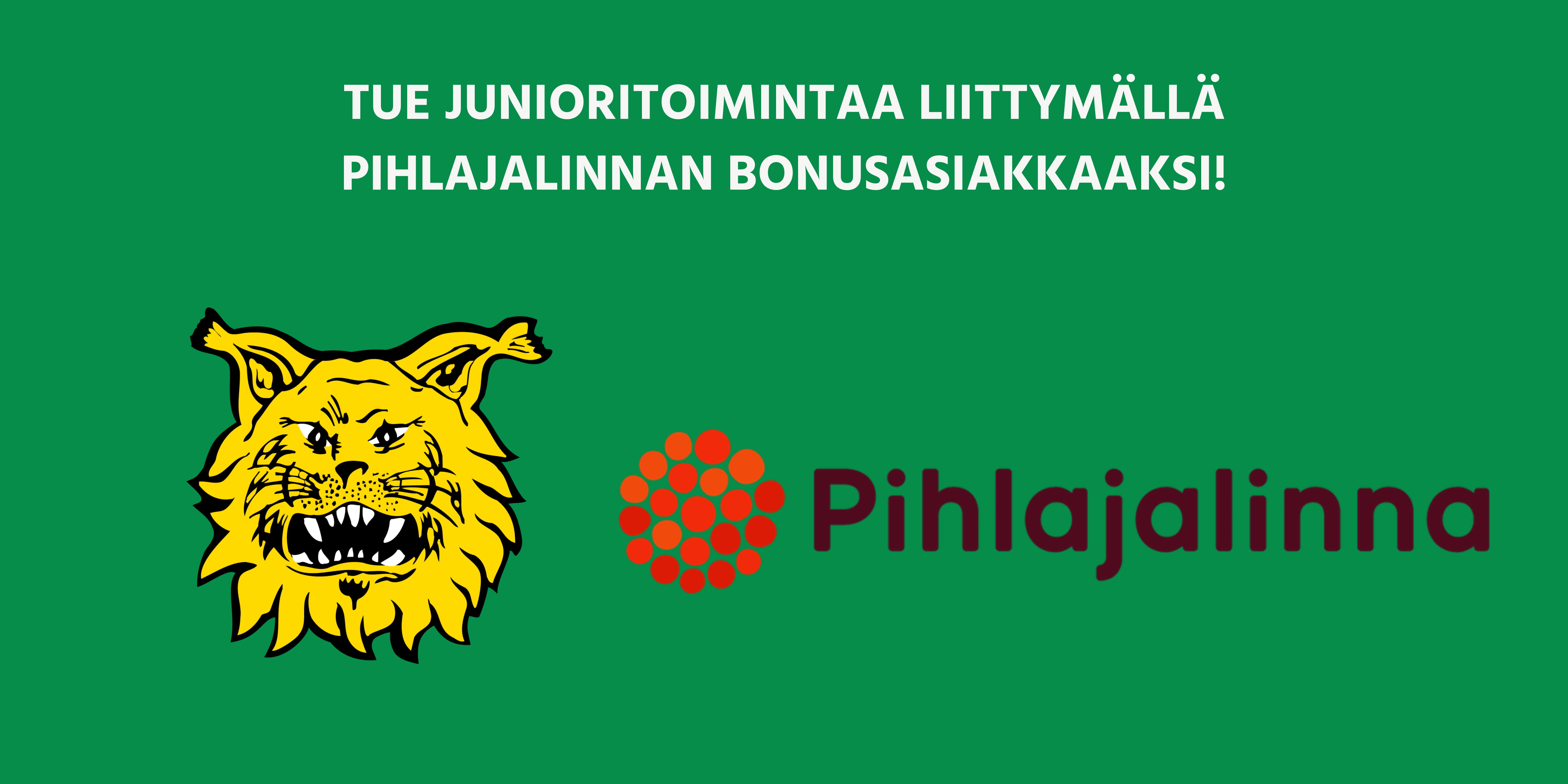 Pihlajalinna bonus