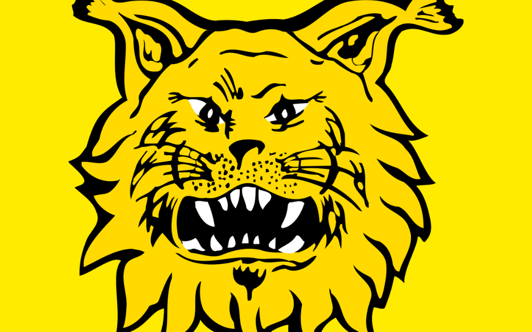 Ilves logo keltainen tausta2