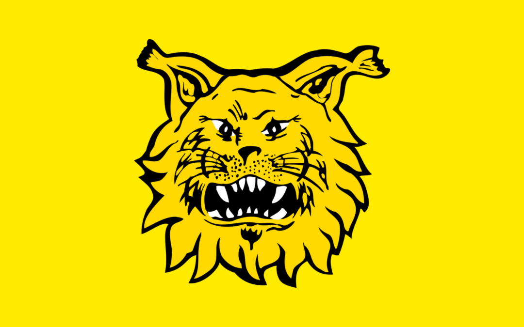 Ilves logo keltainen tausta3
