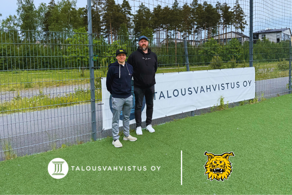 Talousvahvistus & Ilves 2025